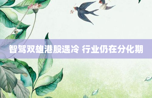 智驾双雄港股遇冷 行业仍在分化期