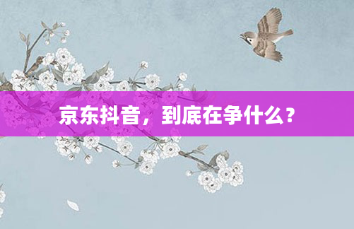 京东抖音,到底在争什么?
