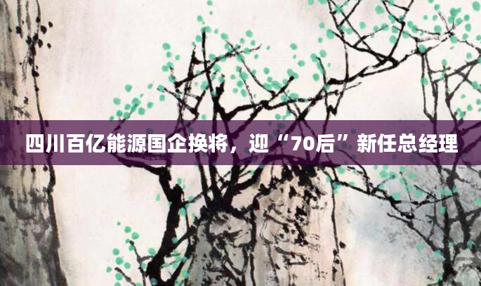 四川百亿能源国企换将,迎“70后”新任总经理