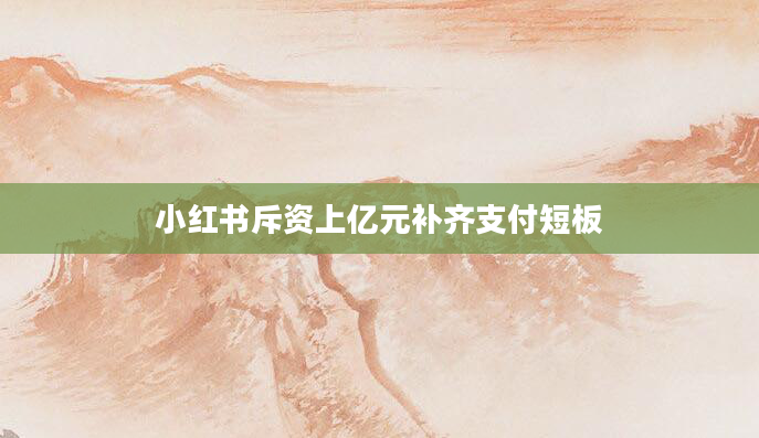 小红书斥资上亿元补齐支付短板