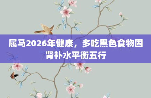 属马2026年健康,多吃黑色食物固肾补水平衡五行