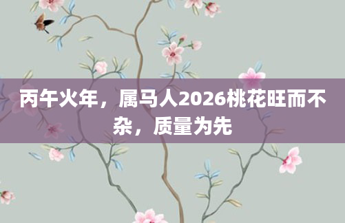 丙午火年,属马人2026桃花旺而不杂,质量为先