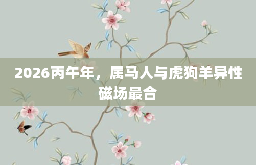 2026丙午年,属马人与虎狗羊异性磁场最合