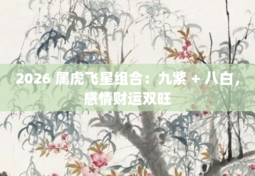 2026 属虎飞星组合:九紫 + 八白,感情财运双旺