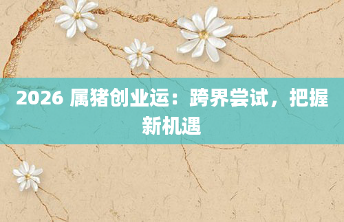 2026 属猪创业运:跨界尝试,把握新机遇