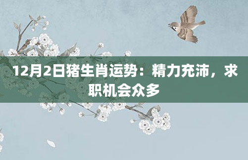 12月2日猪生肖运势:精力充沛,求职机会众多