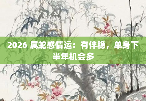 2026 属蛇感情运:有伴稳,单身下半年机会多