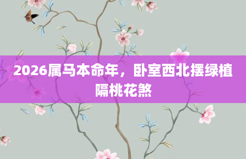 2026属马本命年,卧室西北摆绿植隔桃花煞