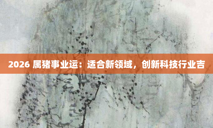 2026 属猪事业运:适合新领域,创新科技行业吉