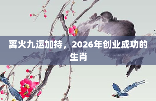 离火九运加持,2026年创业成功的生肖