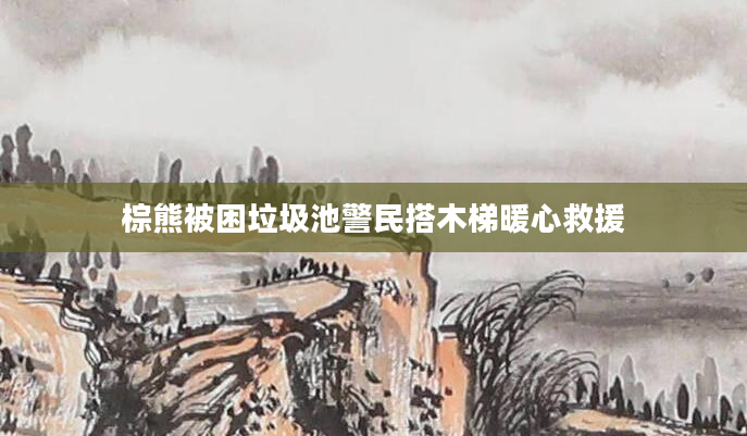 棕熊被困垃圾池警民搭木梯暖心救援