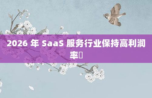 2026 年 SaaS 服务行业保持高利润率