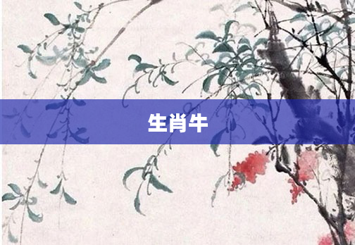 生肖牛