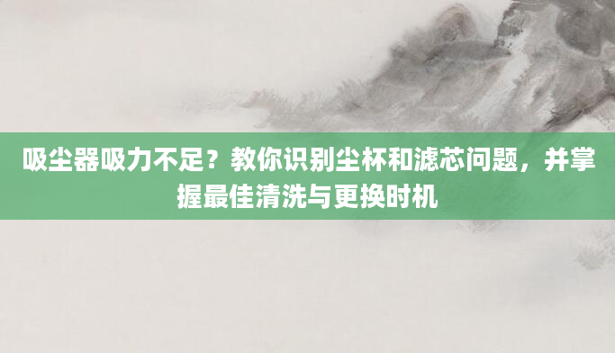 吸尘器吸力不足?教你识别尘杯和滤芯问题,并掌握最佳清洗与更换时机