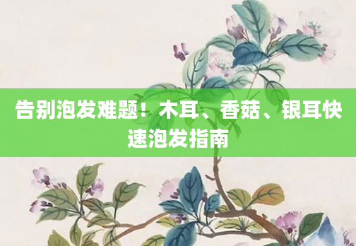 告别泡发难题!木耳、香菇、银耳快速泡发指南