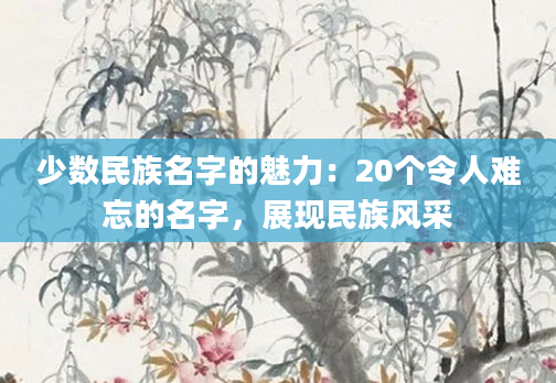 少数民族名字的魅力:20个令人难忘的名字,展现民族风采