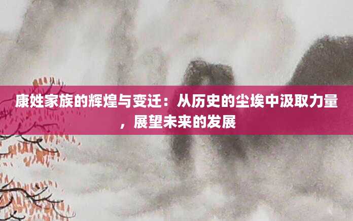 康姓家族的辉煌与变迁:从历史的尘埃中汲取力量,展望未来的发展