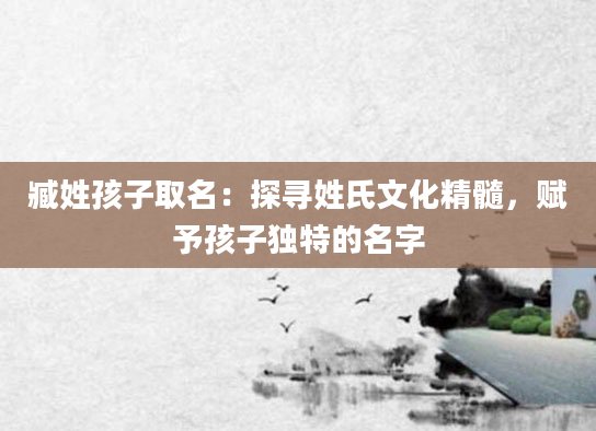 臧姓孩子取名:探寻姓氏文化精髓,赋予孩子独特的名字