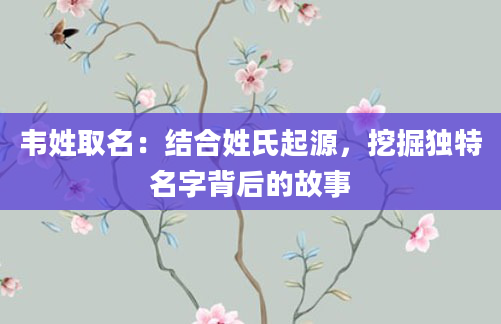 韦姓取名:结合姓氏起源,挖掘独特名字背后的故事