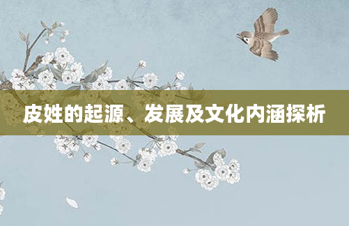 皮姓的起源、发展及文化内涵探析