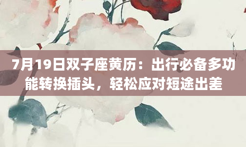 7月19日双子座黄历:出行必备多功能转换插头,轻松应对短途出差