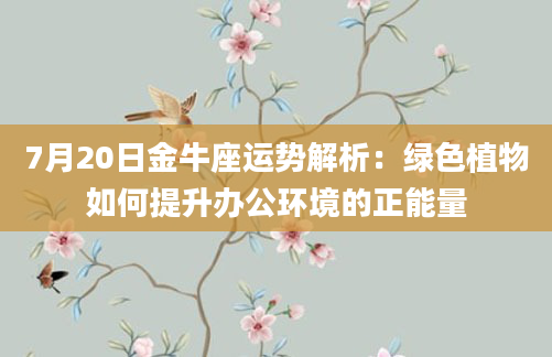 7月20日金牛座运势解析:绿色植物如何提升办公环境的正能量