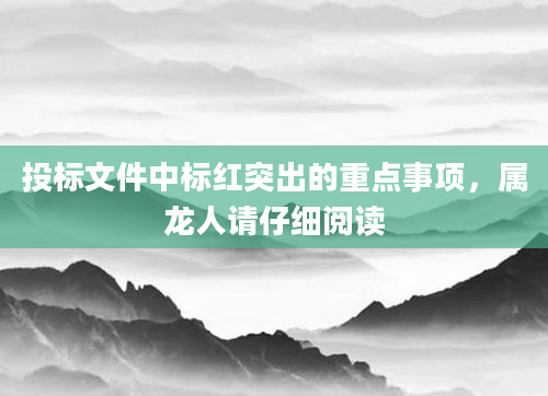 投标文件中标红突出的重点事项,属龙人请仔细阅读