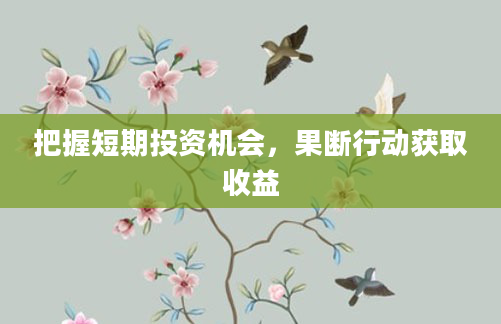 把握短期投资机会,果断行动获取收益