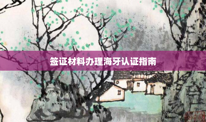 签证材料办理海牙认证指南