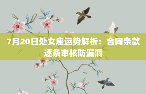 7月20日处女座运势解析:合同条款逐条审核防漏洞