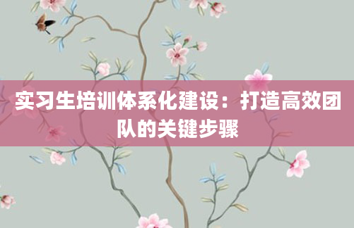 实习生培训体系化建设:打造高效团队的关键步骤