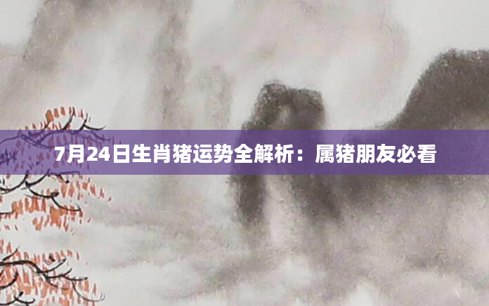 7月24日生肖猪运势全解析:属猪朋友必看