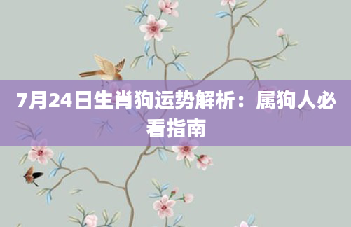 7月24日生肖狗运势解析:属狗人必看指南